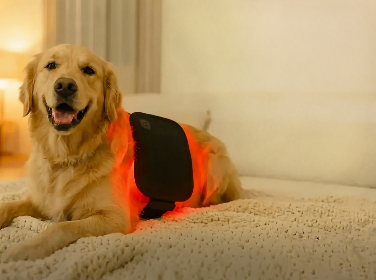 Red light therapy pad